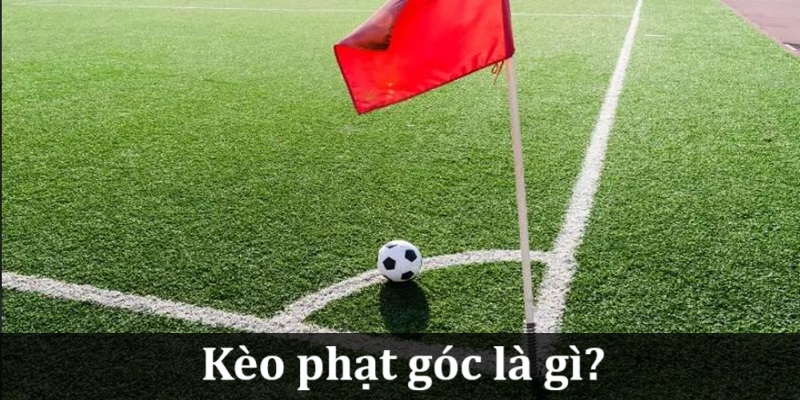 doi-dieu-can-biet-ve-keo-phat-goc