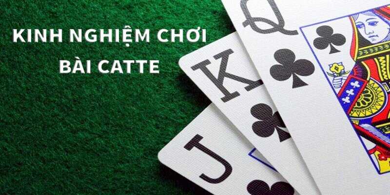 meo-choi-bai-cat-te