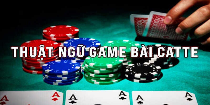 thuat-ngu-bai-cat-te